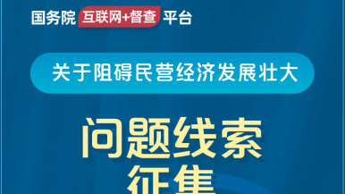 好屌妞操国务院“互联网+督查”平台公开征集阻碍民营经济发展壮大问题线索